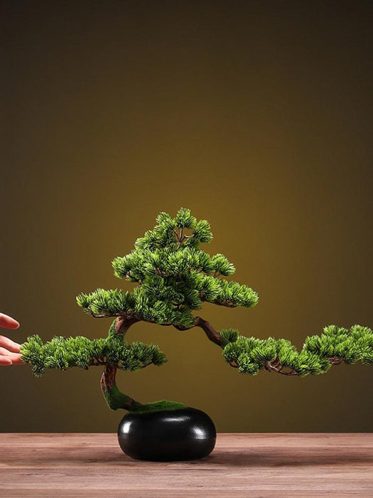 Refined Asian Zen Fortune Pine Potted Plant - Elegant Home Decoration for Connoisseurs