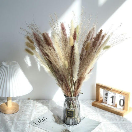 Natural Dried Rabbit Tail Pampas Grass Decorative Bundle - 80 Stems