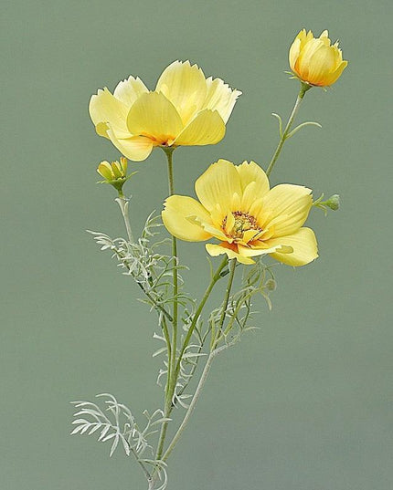Charming Silk Queen Cosmos Flower Stem: Elegant Gesang Floral Branch