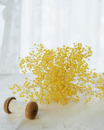 Elegant Dried Gypsophila Bouquet - Ideal for Weddings & Rustic Home Decor