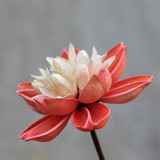 Lotus Bloom Rustic Charm Bouquet: Handmade Elegance