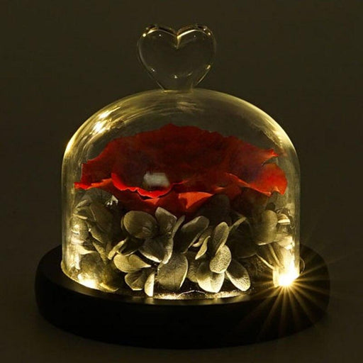 Rose In Heart Glass Dome with Illumination - Genuine Eternal Roses Preserved Flower
