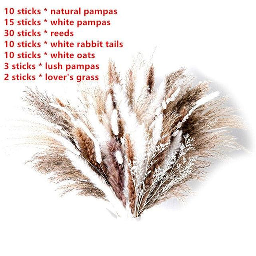 Elegant Nordic Reed Pampas Dried Flower Bouquet for Home Decor and Events
