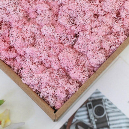 Timeless Greenery Art Creation Kit - Eternal Moss & Custom Grass Mix - 200g