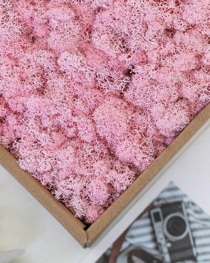 Timeless Greenery Art Creation Kit - Eternal Moss & Custom Grass Mix - 200g