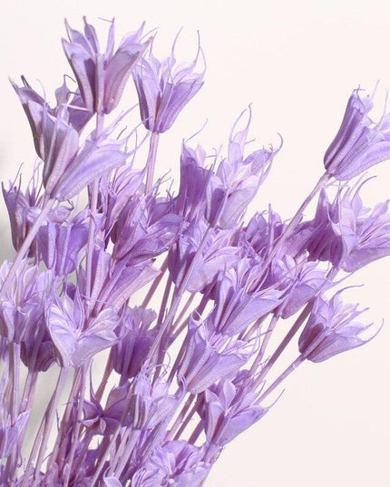 Enchanting Anise Floral Harmony Delights