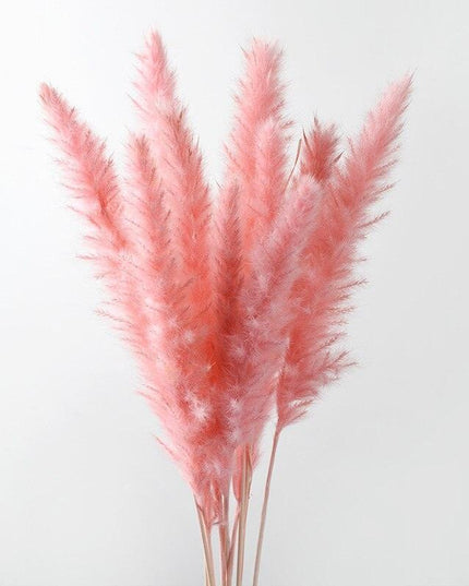 Dried Pampas Grass Bouquet - Elegant Rustic Decor for Homes and Weddings