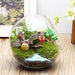 Magical Glass Bauble Balls Kit for Enchanting Home Decor Crafting