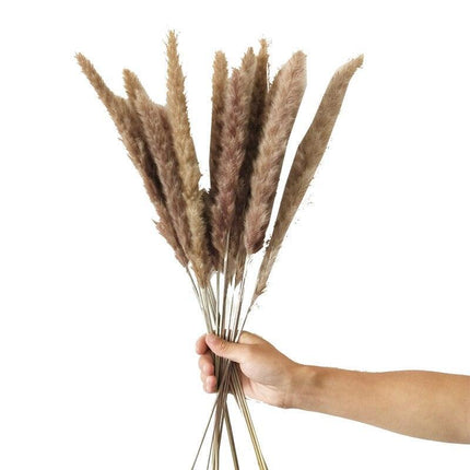 Elegant Dried Pampas Grass Arrangement for Trendy Home Styling