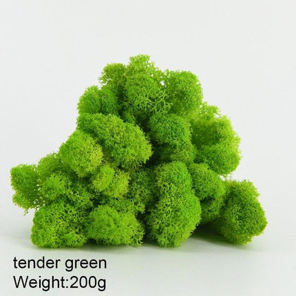 Timeless Greenery Art Creation Kit - Eternal Moss & Custom Grass Mix - 200g