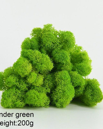 Timeless Greenery Art Creation Kit - Eternal Moss & Custom Grass Mix - 200g