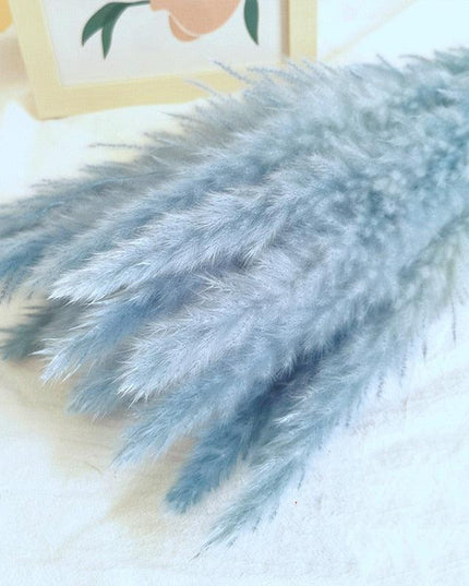 Chic Pampas Grass Home Decor Set - 15 Beautiful Dried Bouquets