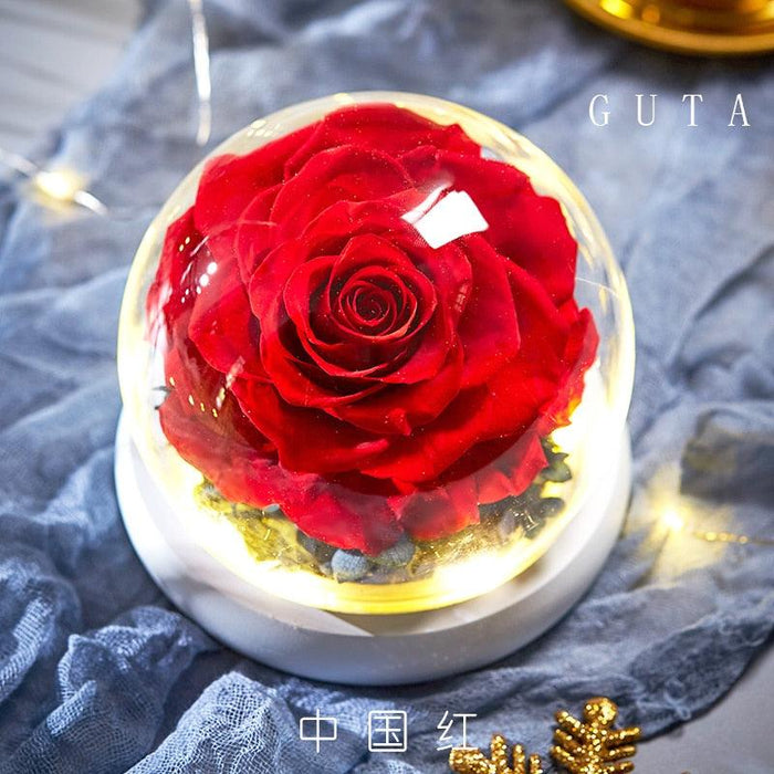Eternal Charm - Glass Dome Set with Preserved Rose, Dried Flowers, and LED Lights