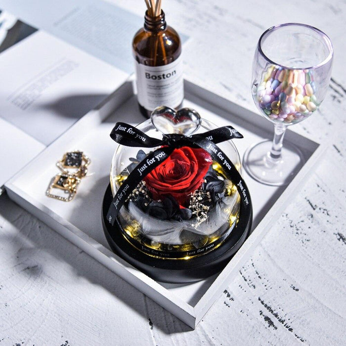 Luxurious Eternal Rose in Glass Dome with Lights
