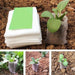 100 Non-woven Seedling Bags for Nursery Flowers and Plants