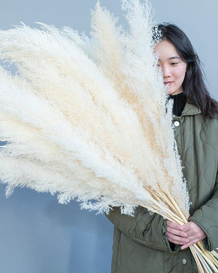 Bohemian Elegance: Pampas Grass and Reed Arrangement for Home Decor