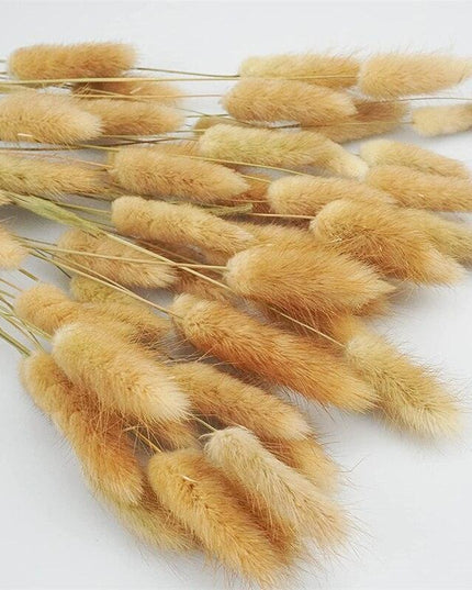 Whimsical Dried Bunny Tail Floral Arrangement - Elegant Home Decor