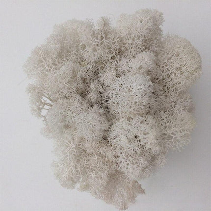 Timeless Elegance Moss Collection: Luxurious Artificial Plants for Upscale Home Decor