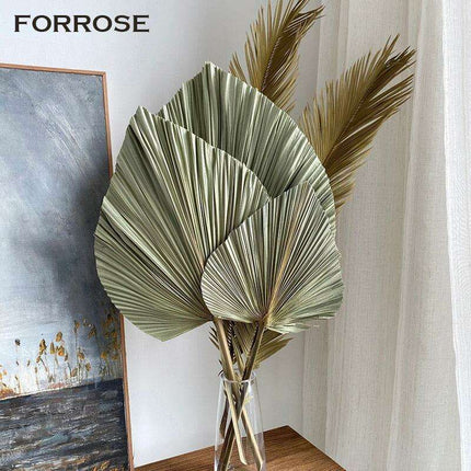 Exquisite Bohemian Dried Palm Fronds Collection