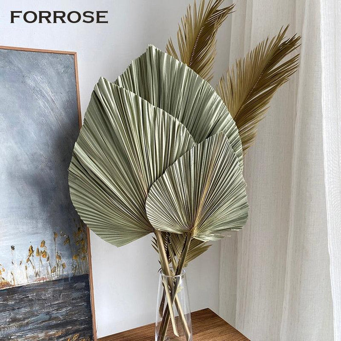 3PCS Large Dried Palm Leaves