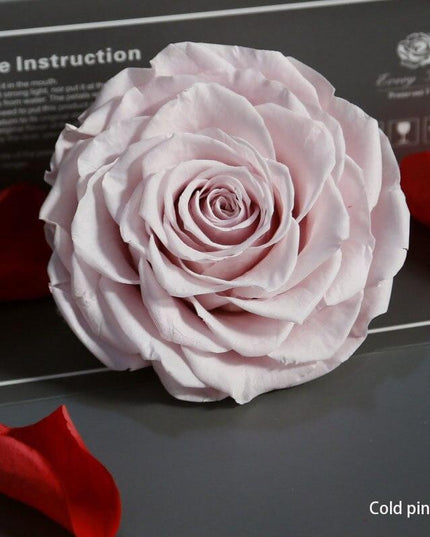 Timeless Grace: Luxurious Preserved Rose Head for Lasting Splendor
