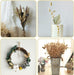 Bohemian Bunny Fluff Dried Flower Bundle - Botanical Vase Accent & Home Décor Piece