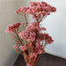 Rustic Charm Dried Flower Garland Kit - Creative Home Decor & Craft Set