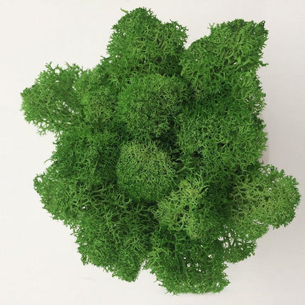 Timeless Elegance Moss Collection: Luxurious Artificial Plants for Upscale Home Decor