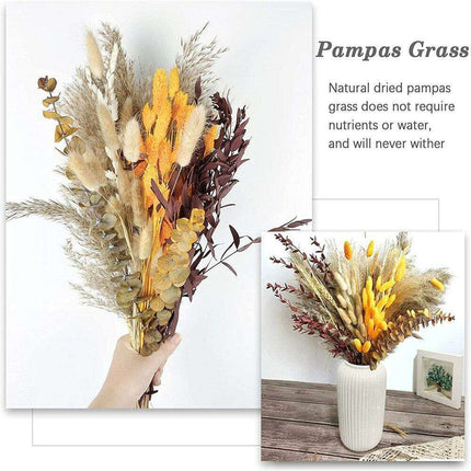 Autumn Harmony: Premium 100-Piece Dried Pampas Grass Collection for Elegant Home Decor