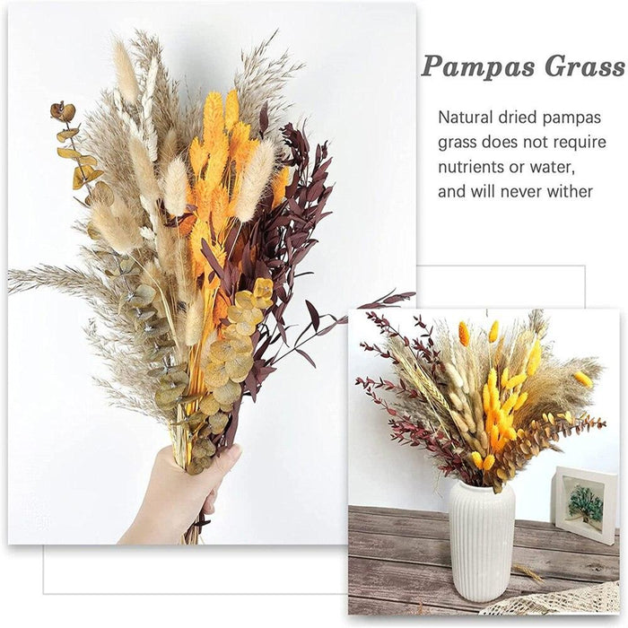 Fall Harvest: Elegant Bundle of 100 Natural Dried Pampas Grass for Chic Interior Design