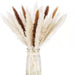 70-Piece Small Reed Rabbit Grass and Mixed Dried Flower Bundle - Ideal for Wedding, Party, and Home Decor