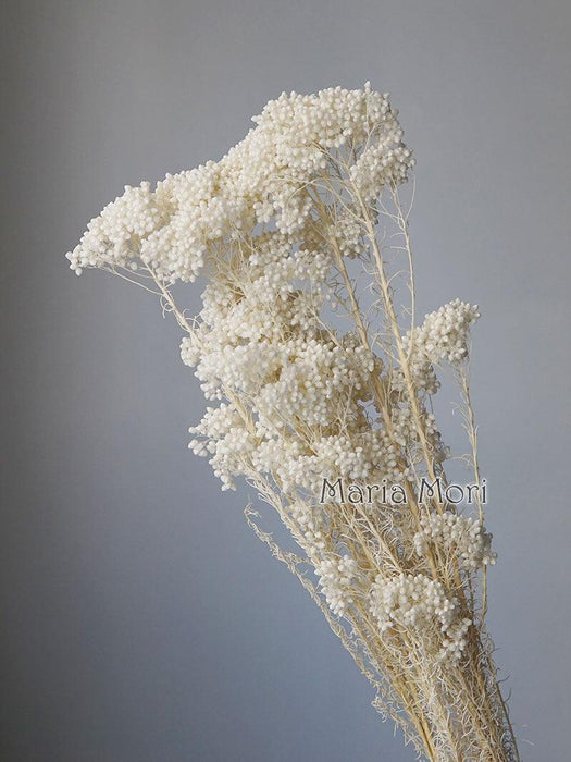 Enchanting Natural Dried Floral Arrangement - Elegant Decor for Home and Weddings