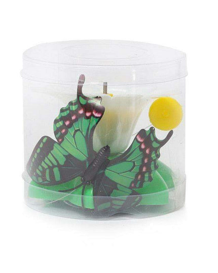 Electric Interactive Flying Insect Toy for Cats - Engaging Fun with Realistic Movements