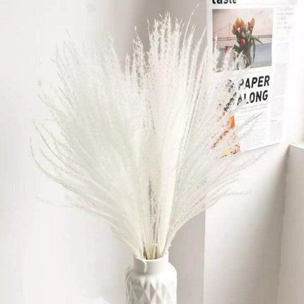Elegant Dried Pampas Grass Bouquet for Stylish Home Accents