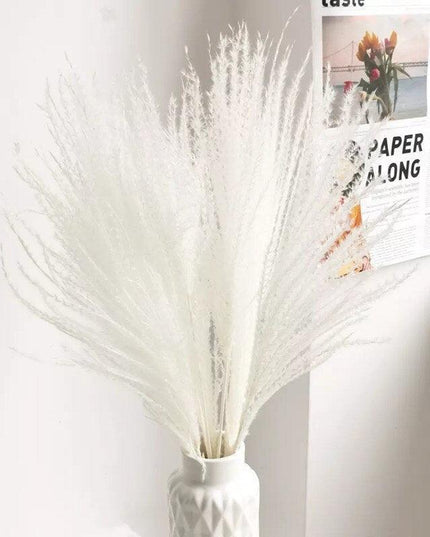 Elegant Dried Pampas Grass Bouquet for Stylish Home Accents
