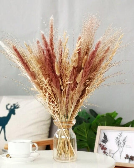 Chic 30-Piece Natural Dried Pampas Grass Rabbit Tail Bundle for Stylish Home Decor