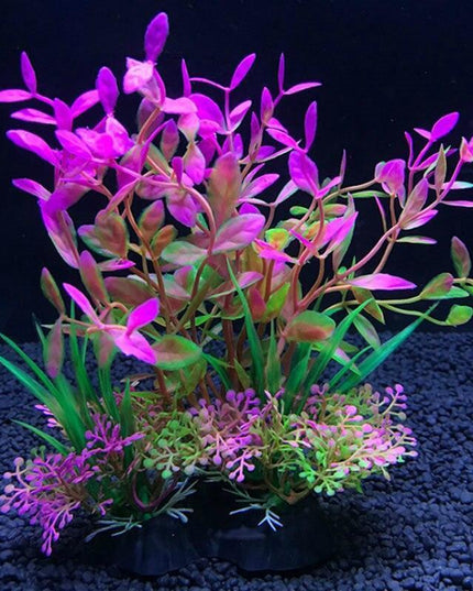 Aquatic Paradise: 12 Unique Plant Varieties for Vibrant Aquarium Landscapes