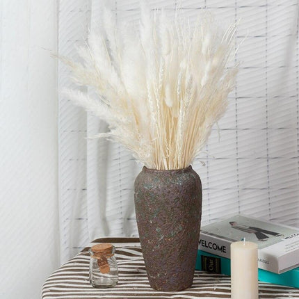 Natural Dried Rabbit Tail Pampas Grass Decorative Bundle - 80 Stems