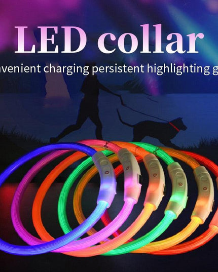 Illuminated USB Rechargeable Dog Collar for Optimal Night Safety and Visibility