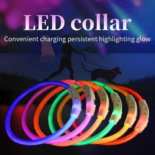 Illuminated USB Rechargeable Dog Collar for Optimal Night Safety and Visibility