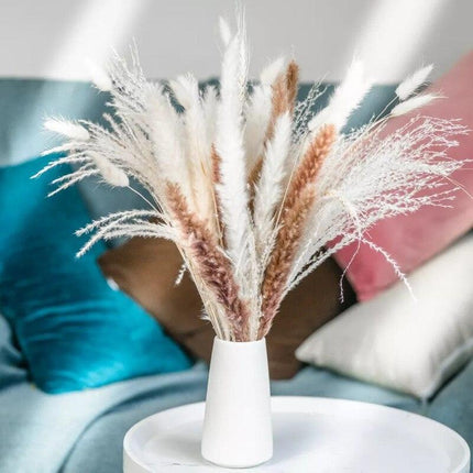 Elegant Dried Pampas Grass Bouquet for Stylish Home Accents