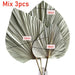 3PCS Large Dried Palm Leaves