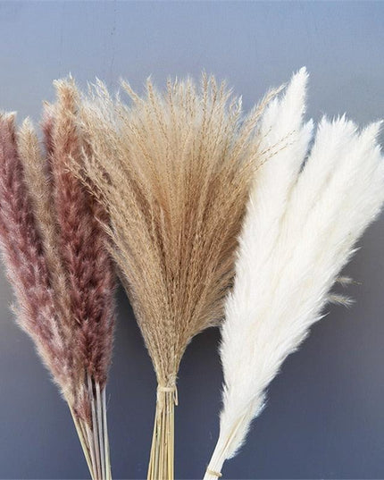 Chic 60-Piece Dried Pampas Grass Stems for Stylish Home and Wedding Arrangements