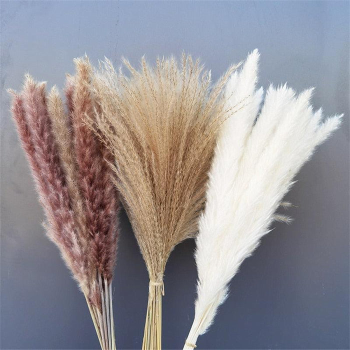 Natural Dried Pampas Grass Bouquet - 60pcs for Wedding & Home Decor