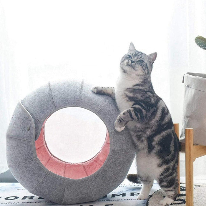 Shell Cat Bed & Tunnel Combo: Cozy Retreat for Feline Friends