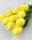 G-옐로우 튤립