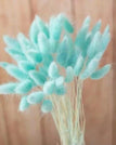 light blue / 30pcs