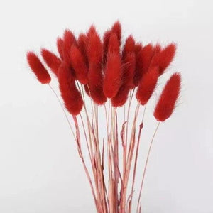 30pcs 100pcs Fluffy Bunny Tails Dried Flowers Arrangement Natural Rabbit Tail Grass for Vase Boho Floral for Wedding Home Decor-0-Très Elite-dark red-30pcs-Très Elite