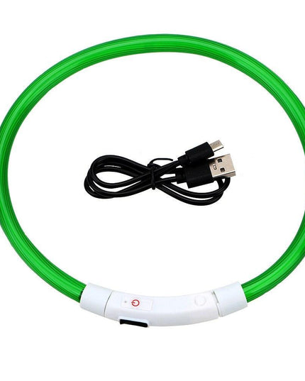 Illuminated USB Rechargeable Dog Collar for Optimal Night Safety and Visibility