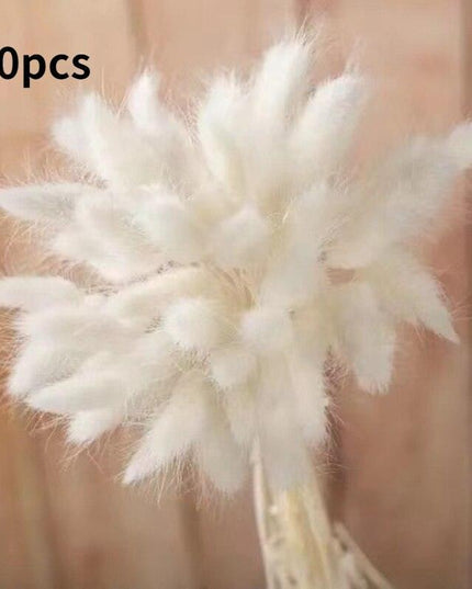 Dried Pampas Grass Bouquet - Elegant Rustic Decor for Homes and Weddings
